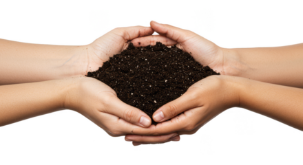 Isolated Image of Pair Hands Soil Nurturing Earth Conservation Transparent