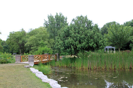 Summer landscape with bridge  in the park