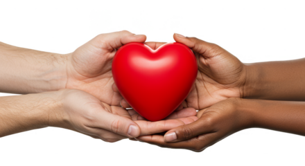 Symbolic Heart Held by Diverse Hands Representing Love and Care PNG