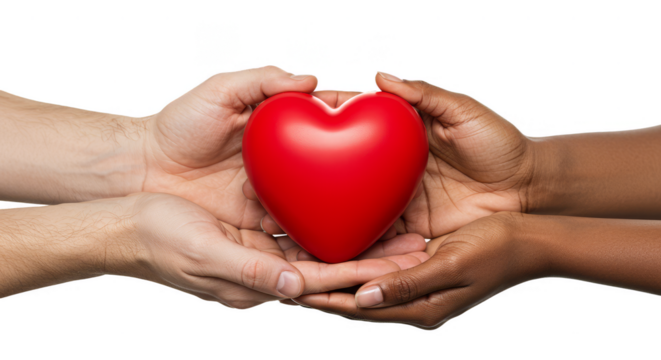 Symbolic Heart Held by Diverse Hands Representing Love and Care PNG