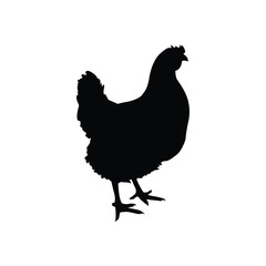 Vector Illustration, Silhouette, Chicken Logo