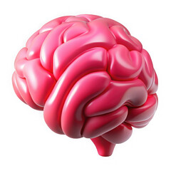 A glossy pink brain model isolated on a black background showcasing its anatomical structure clearly on transparent background