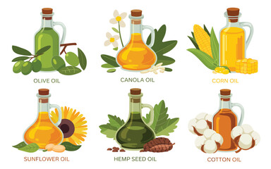 Collection of cooking oils in glass bottles with their plant sources