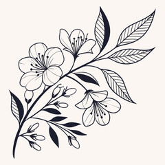 Delicate floral branch illustration