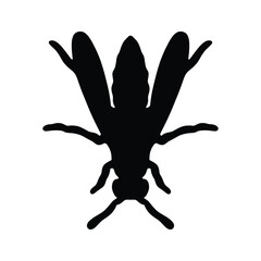 Flying Insect Silhouette Vector, Detailed Drawing from Top View