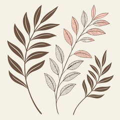 Elegant floral graphic design elements