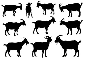 Abstract Goat Pattern Animal Silhouette with Repeating Colorful Design Background