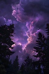 Purple Night Sky Over Trees.