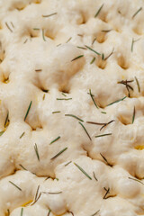 unbaked rosemary focaccia bread dough with bubbles 