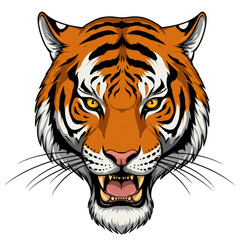 Illustration of Tiger Face Close Up Portrait with Transparent Background