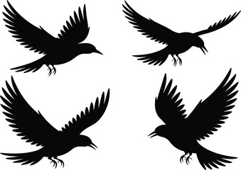 Fototapeta premium Four black silhouettes of birds in flight with wings spread wide