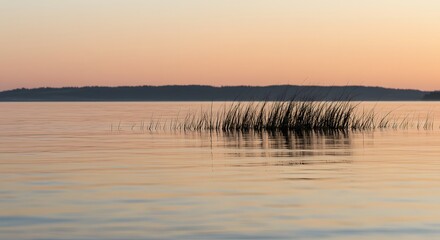 Flock of Birds Taking Flight Over Calm Water During Golden Hour Sunset with Distant Horizon Silhouette