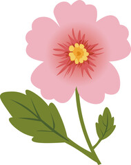 Pink Hibiscus Syriacus Flower Illustration Blossom on Transparent Background
