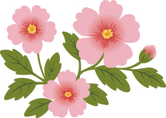Hibiscus Flower Illustration, Korea National Symbol, Pink Mugunghwa Blossom on Transparent Background