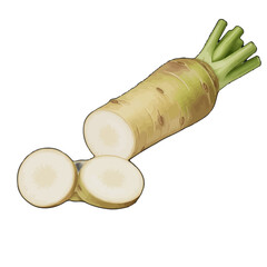 Fresh Wasabi Root and Slices 