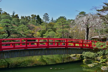 桜　日本庭園　由志園