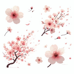 Fototapeta premium Image of cherry blossoms falling in the wind with a simple and minimalist flat design using a white background