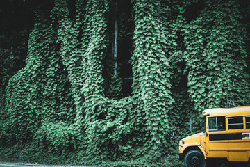 a hill and structure engulfed by kudzu vines with a school bus in the foreground. invasive plant...