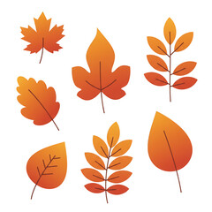 Obraz premium Illustration of Various Orange Autumn Leaves on Transparent Background