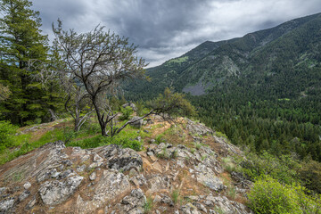 View Along the Chief Joseph Trail in the Eagle Cap Wilderness, OR