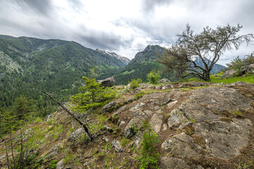 View Along the Chief Joseph Trail in the Eagle Cap Wilderness, OR