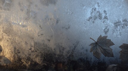 Frost-covered window with intricate ice patterns and a silhouetted maple leaf on a cold, textured surface.