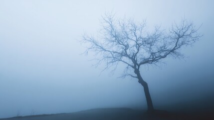 A solitary, leafless tree stands on a foggy hill, creating a serene and mysterious atmosphere in a muted blue-gray landscape.