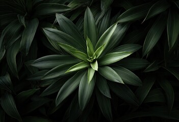 A Central Verdant Bloom Among Dim Leaves