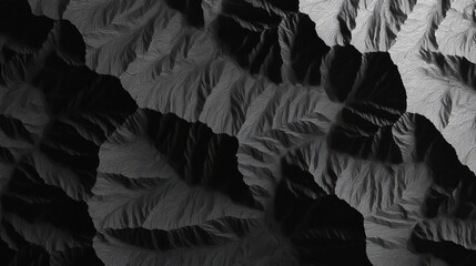 Monochrome 3D terrain model showcasing intricate mountain ridges and valleys with high contrast shadows and textured line contours.