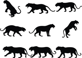 Majestic Tiger Silhouette  Wild Jungle Predator Art