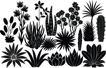 Silhouette Collection of Desert Plants Cacti, Succulents, and Desert Flowers