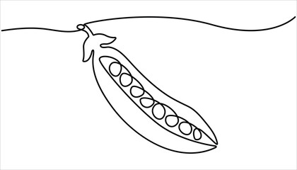 Continuous one line drawing of whole healthy organic pea for harvesting logo identity. Continuous one line drawing peas. Vector illustration. Single Line Drawing of Fresh Green Peas in Pod. 