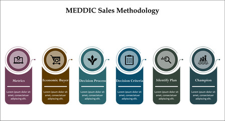 MEDDIC Sales Methodology. Infographic template with icons and description placeholder