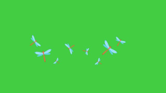 Flying dragonflies animation. A seamless looping motion graphic of a swarm of dragonflies flying together, perfect for nature backgrounds, summer-themed visuals, garden scenes, or decorative insect an
