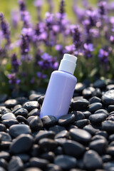 A minimalist lavender bottle with a white cap rests on smooth black stones with a soft focus background of purple lavender flowers