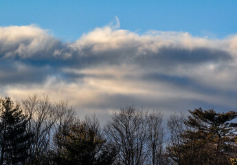 cloudscape with silhouetted tees