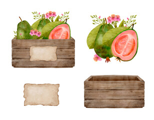 A Beautiful Array of Fresh Guavas Displayed in a Rustic Wooden Crate Surrounded by Floral Accents