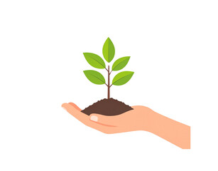 Hand Holding a Small Plant with Green Leaves and Brown Soil.