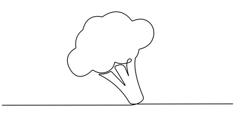 Vector illustration of broccoli with one line, Continuous single drawn one line broccoli vegetables hand-drawn picture silhouette. Line art. Doodle, one continuous single line of green broccoli