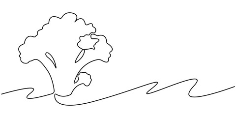 Vector illustration of broccoli with one line, Continuous single drawn one line broccoli vegetables hand-drawn picture silhouette. Line art. Doodle, one continuous single line of green broccoli