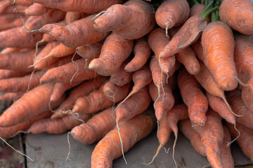 Freshly Harvested Organic Carrots Piled High at a Market Stall Ready for Sale.