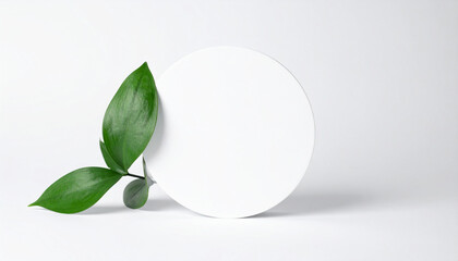 White Circle Podium with Leaf on Side on White Background for Minimal Modern Product Display Mockup