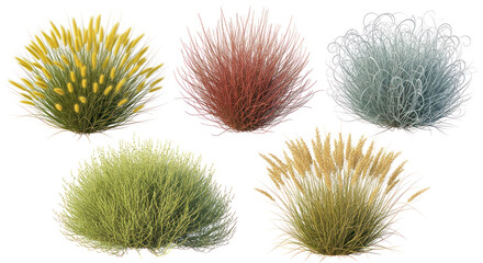 Decorative grass and shrub clumps isolated on transparent background, various textures and colors for landscaping design