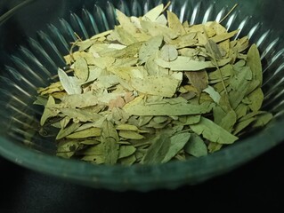 dried Senna leaves close up photo on black background, commonly used in herbal medicine,...