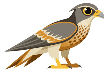 falco pet on white background



