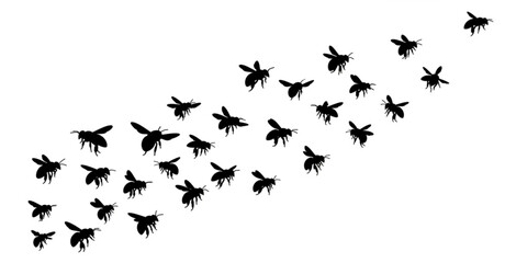 A flock of black bird silhouettes flying in formation across a white background.