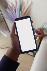 Hand holding smartphone with blank screen indoors