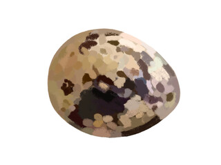 ウズラの玉子（1個）