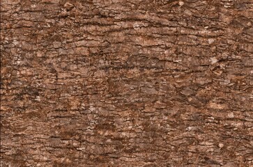 Close Up Texture of Rough Brown Tree Bark with Natural Grooves and Cracks Detailed	