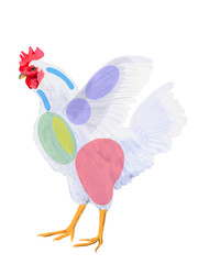 ニワトリ（部位図）文字なし